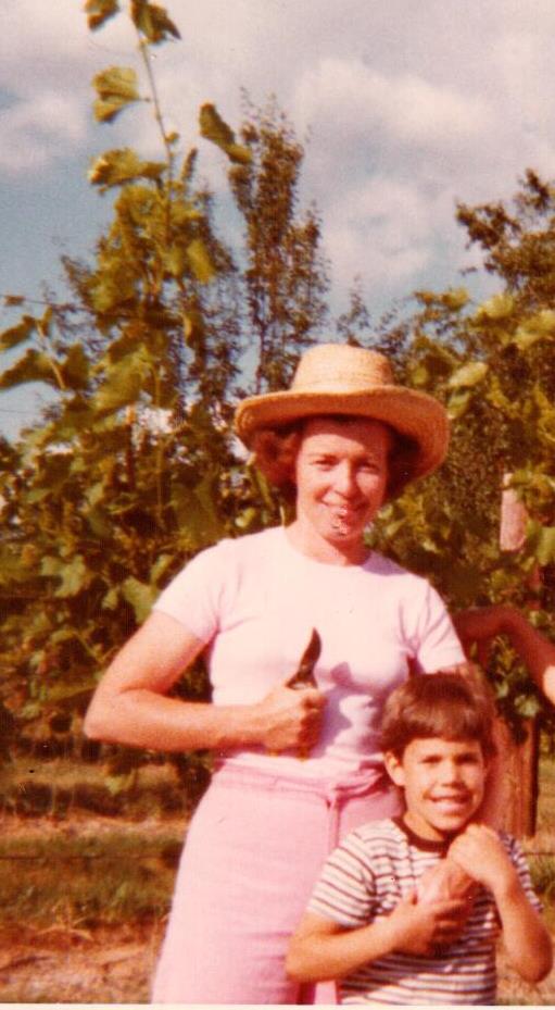 THE ROOTS FOR CHATHAM PLANTED IN A FAMILY VINEYARD IN GREAT FALLS MORE THAN 50 YEARS AGO
