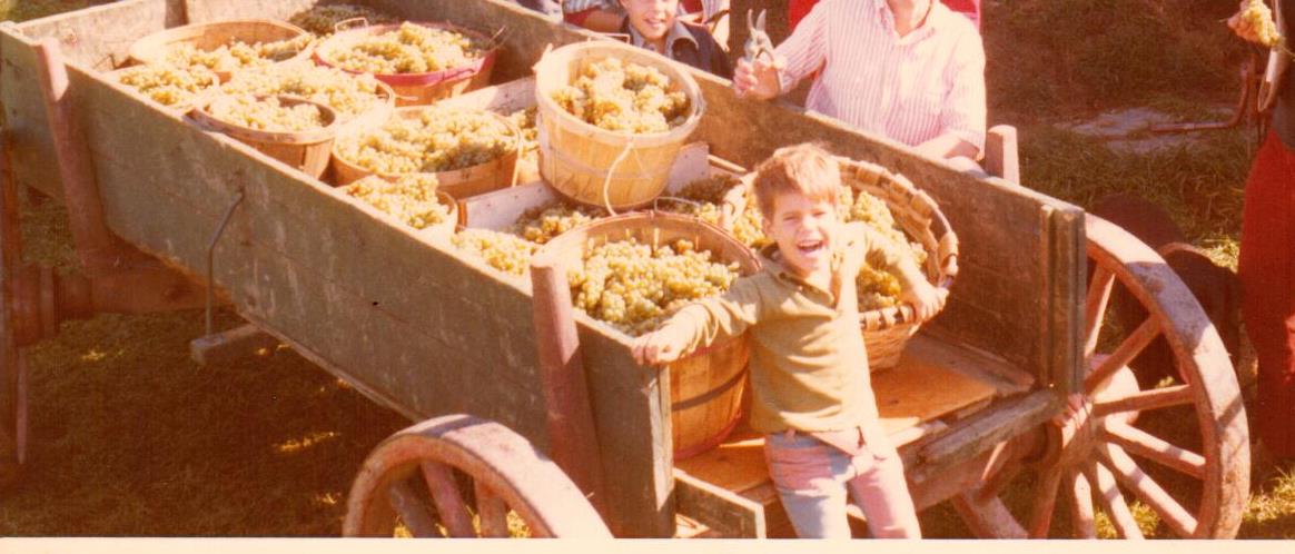 A young boy smiles in front of a wagon full of grapes