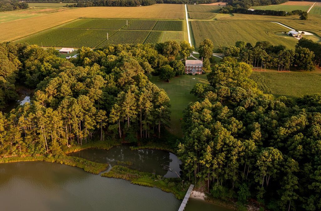 Chatham Vineyards aerial