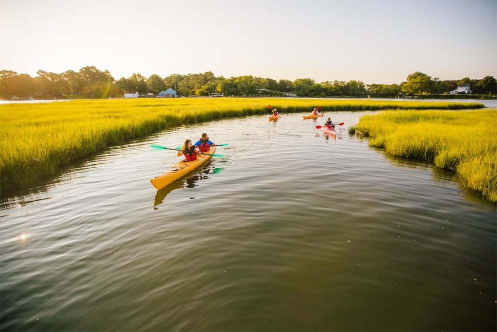 This kayak tour begins on the banks of Nassawadox Creek at a working watermen's wharf in the tiny bayside village of Bayford. Participants tour the marshy banks of the creek and view wildlife before pulling up on the shores of Chatham Vineyards for a wine tasting.

Virginia Tourism Corporation, www.Virginia.org