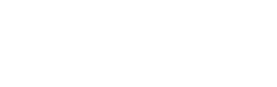 Chatham Vineyards logo in white