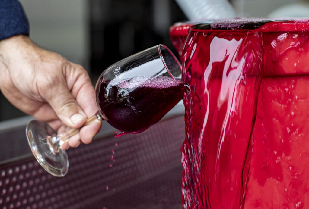 A man holds a glass of wine up as Chatham Vineyards wine pours from a barrel