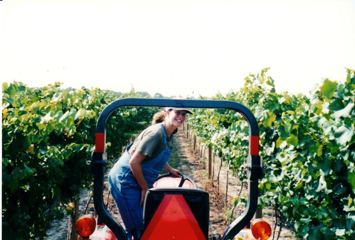 A young woman rides a tractor through the vines at Chatham Vineyards