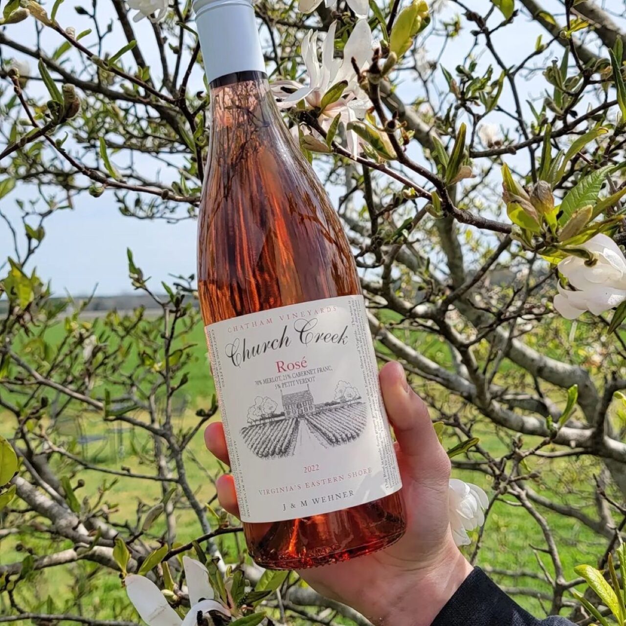 Bottle of Chatham Vineyards Rose being held up in front of a green lush background