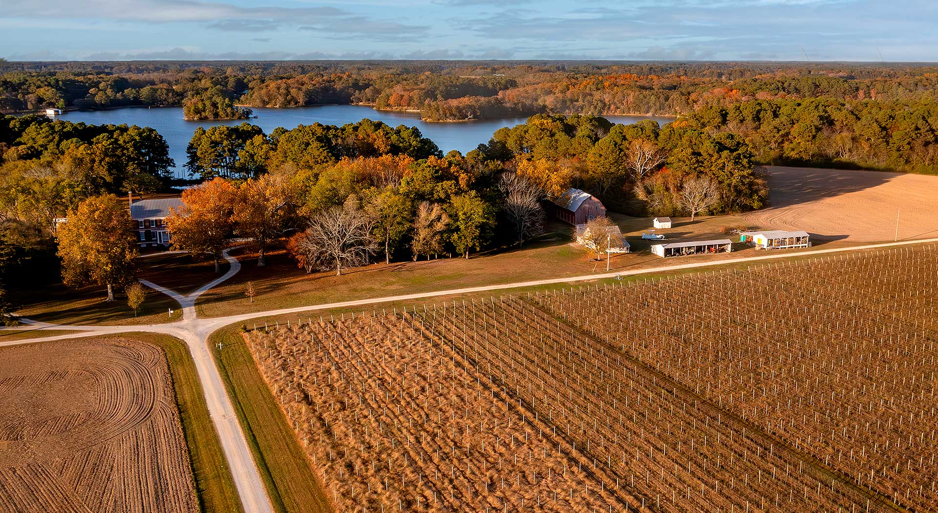 Chatham Vineyards fall drone photo 2024